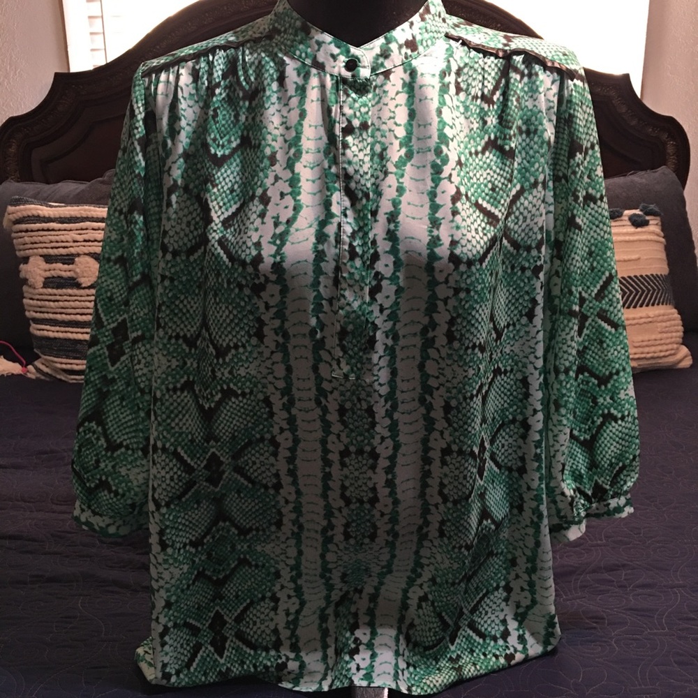 Violet & Claire Blouse 1X